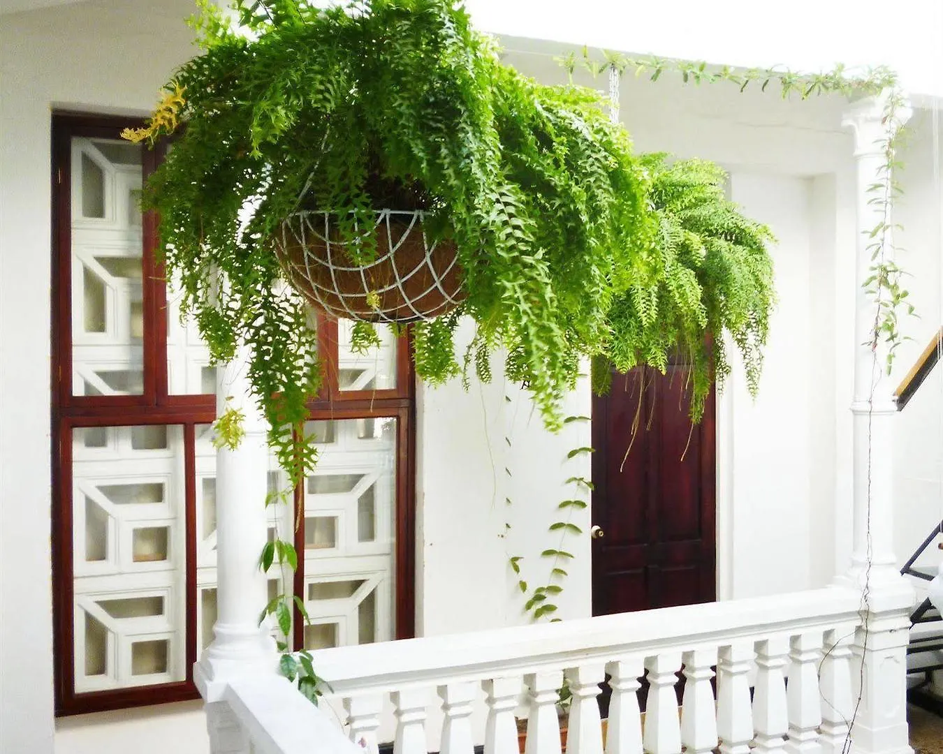 Hotel Santa Cruz Cartagena 2*,  Colombia